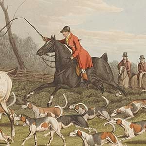 Hunting with the hounds